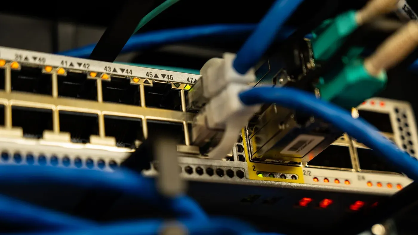 Ethernet-kablar inkopplade i en nätverksswitch.